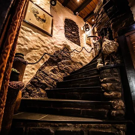 酒店 阿尔维嫩酒店