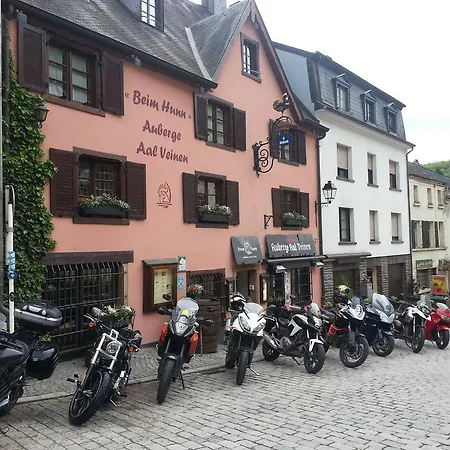 阿尔维嫩酒店 3* 菲安登