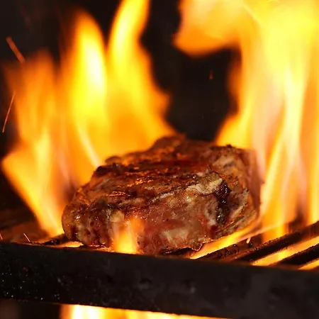 酒店 阿尔维嫩酒店 3*