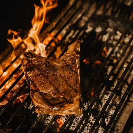 酒店 阿尔维嫩酒店 菲安登