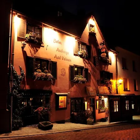 阿尔维嫩酒店 3* 菲安登