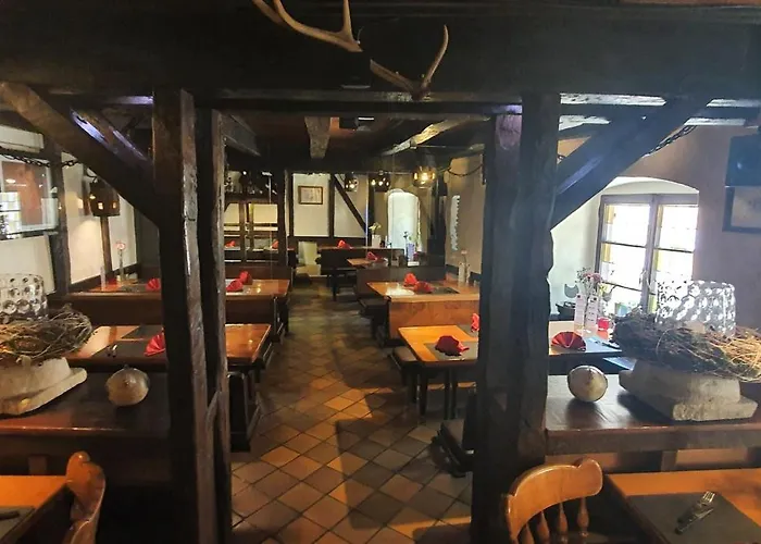 阿尔维嫩酒店 酒店 3*