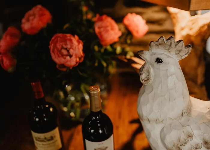 阿尔维嫩酒店 酒店 菲安登