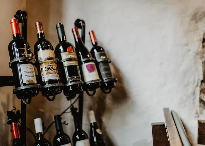 酒店 阿尔维嫩酒店 菲安登