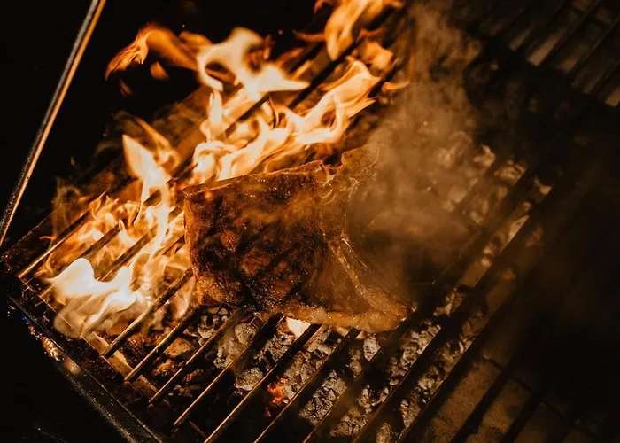 阿尔维嫩酒店 酒店 菲安登