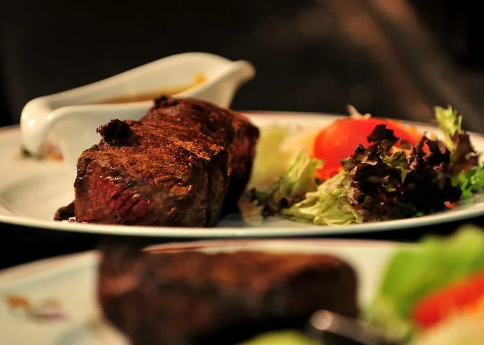 酒店 阿尔维嫩酒店 菲安登