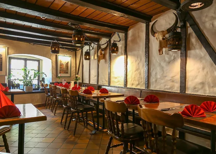 阿尔维嫩酒店 菲安登