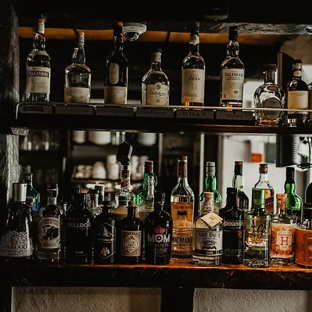 阿尔维嫩酒店 酒店 菲安登