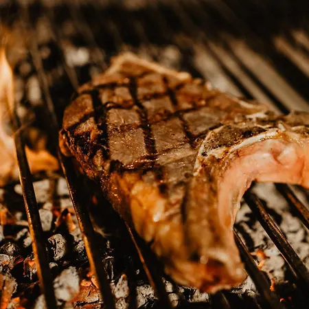 오베르주 알 파이넨 3* 비안덴