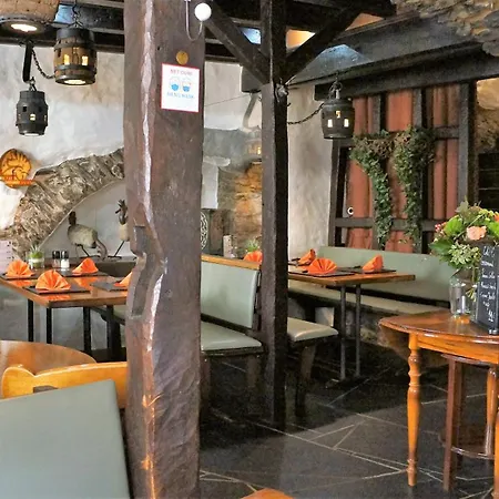 阿尔维嫩酒店 3*