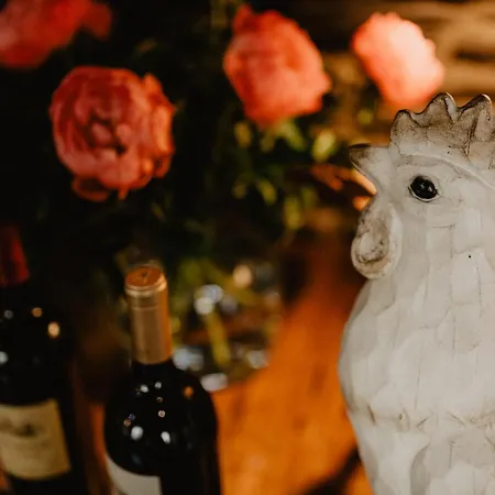 オーベルジュ アール ヴァイネン