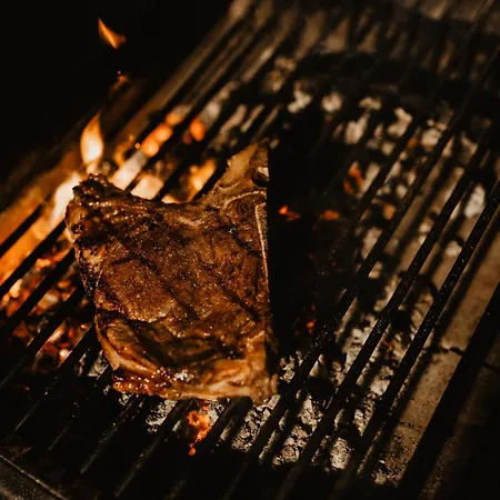 호텔 오베르주 알 파이넨 비안덴