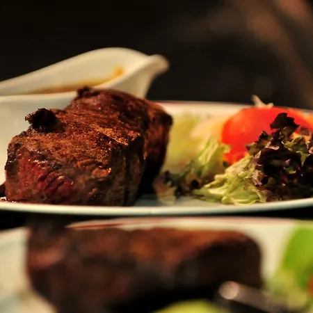 호텔 오베르주 알 파이넨 비안덴