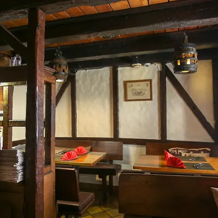 오베르주 알 파이넨 3* 비안덴